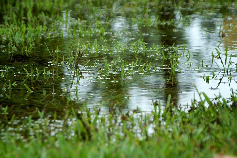 5 Signs of a Clogged Drain in Your Home