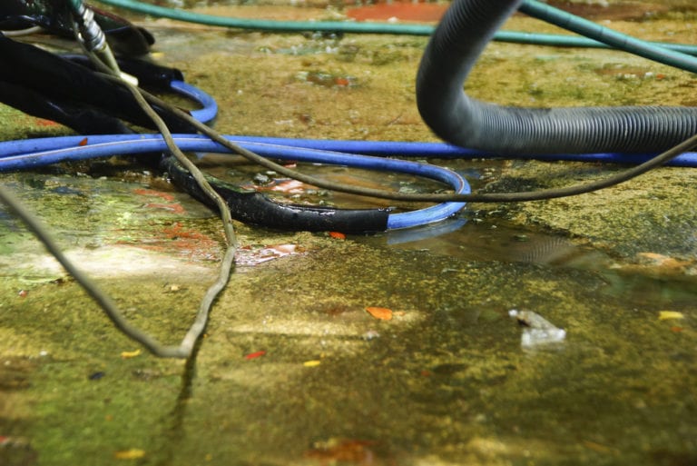 5 Causes of Household Water Damage & How to Fix Water Leaks