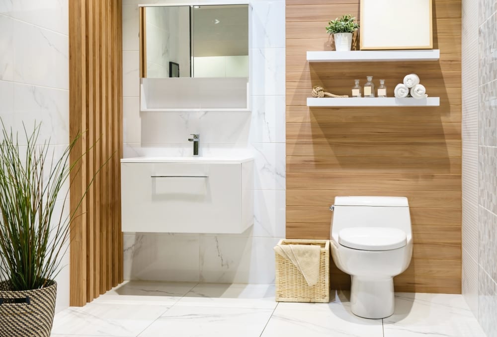 4 Types of Toilets & How They Work: Benefits & Drawbacks